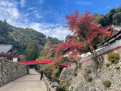 紅葉と朱色の橋が彩る道
