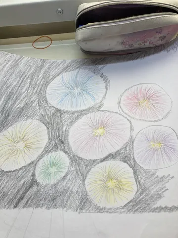 色とりどりの不思議な花