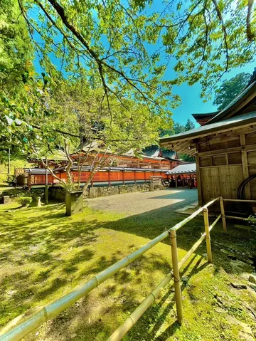 木漏れ日と朱色の社殿