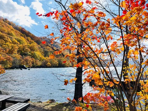鮮やかな紅葉と水面の輝き