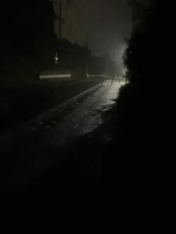 夜道の静かな光跡