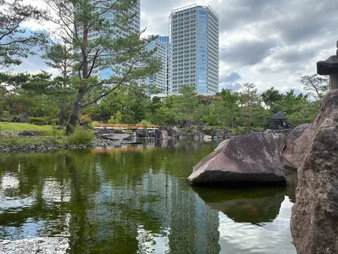 都会と自然の静かな調和