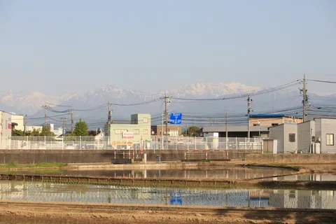 雪解けの山と田んぼのコントラスト