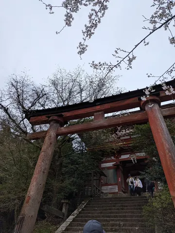 鳥居と桜、静寂の参道