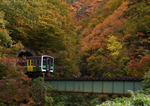 錦秋を走る列車