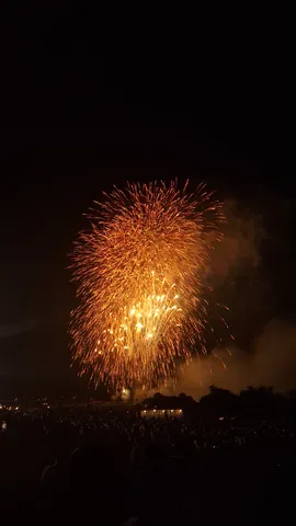 夜空を焦がす花火の瞬間
