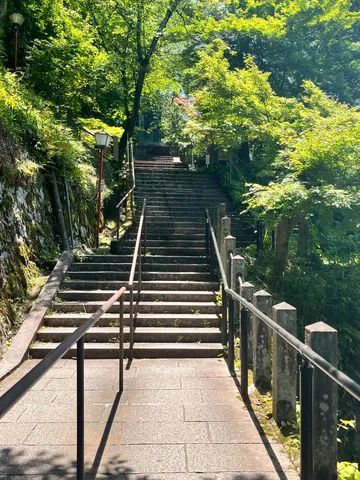 緑に包まれた石段の参道