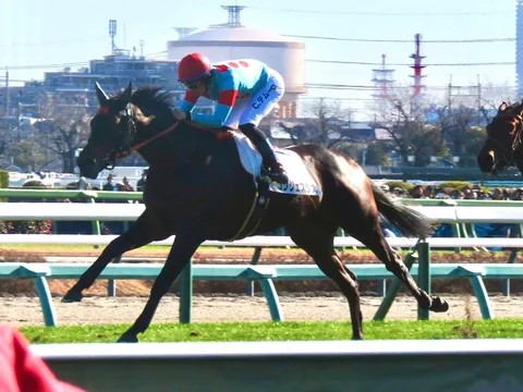 疾走する馬とジョッキーの躍動感