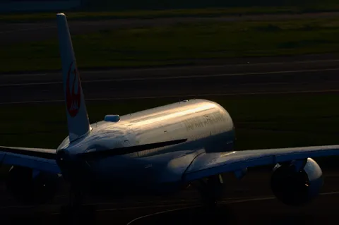 夕暮れに輝くJAL機