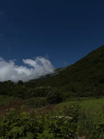 夏山にひそむ青い気配