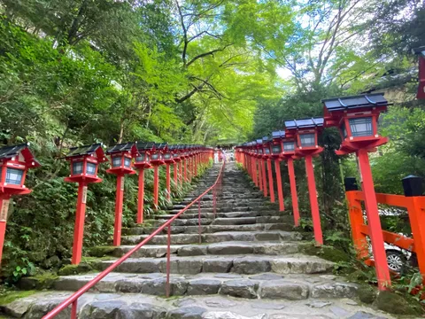 赤提灯が連なる風情ある坂道