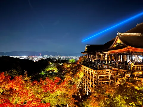 光と錦秋が交差する夜