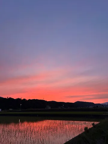 沈む夕陽と水面の歌