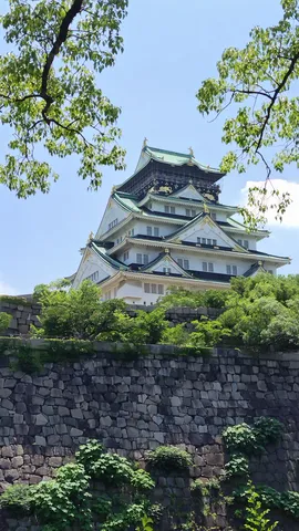 青空に映える緑の屋根、古都の風景