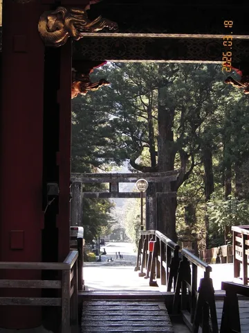 古都の風情、木漏れ日の道
