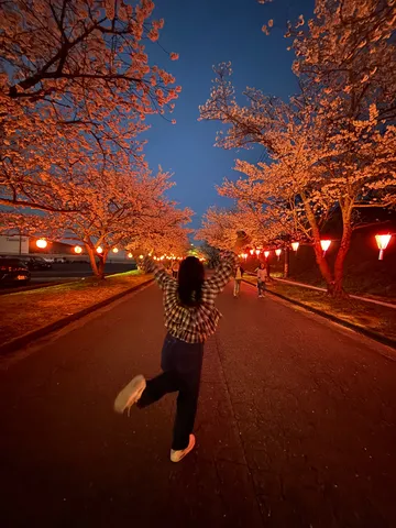夜桜の光道、喜び舞う