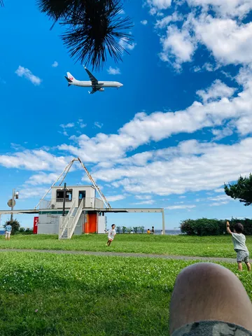 青空を横切る飛行機