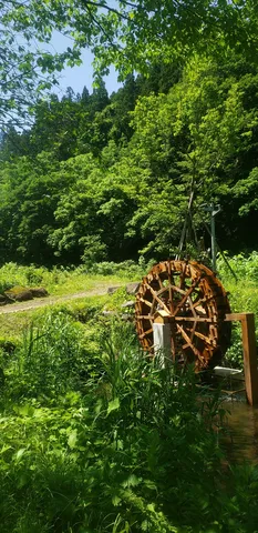 緑の水車と夏の静寂