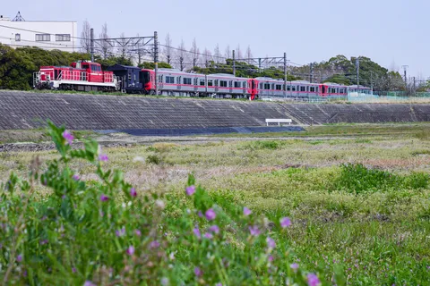 鉄道と草花の異色コラボ