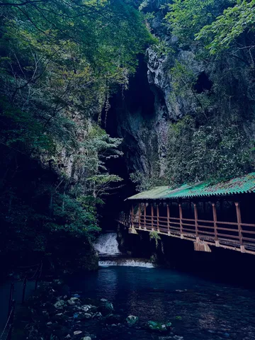 洞窟に架かる神秘の回廊