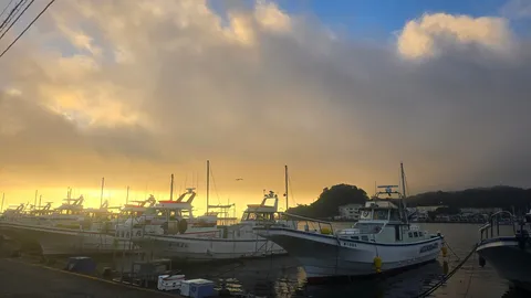 夕暮れの港に浮かぶ静寂