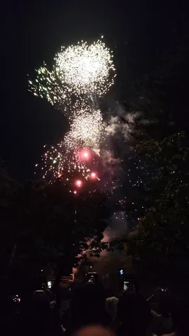 夜空を彩る光のシンフォニー