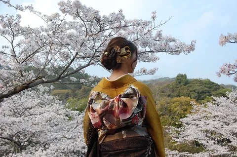 桜に溶ける金色の舞