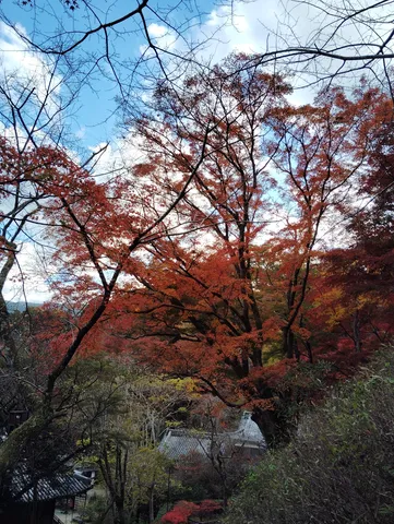 燃える紅葉と古刹の佇まい