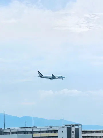 空飛ぶ希望か、それともただの飛行機か