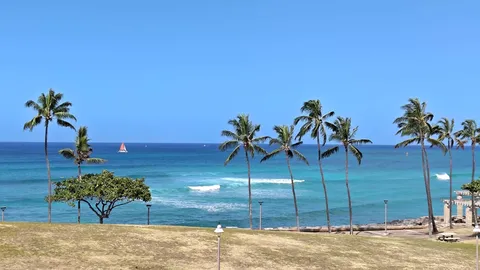 青い海とヤシの木、理想の休日