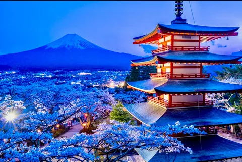 蒼き刻、富士と五重塔が彩る桜景