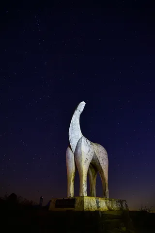 星空と並ぶ、静かなる巨影