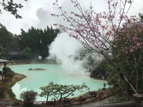 蒼い湯と桜の蒸気