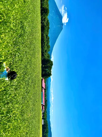 緑と青のシンフォニー