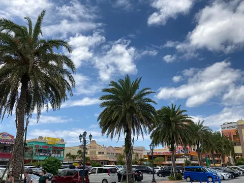ヤシの木と異国風な街並み