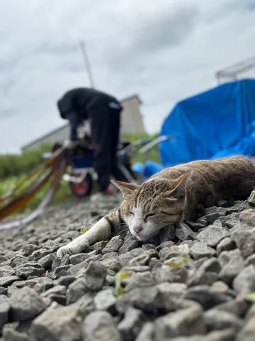石畳でひとやすみ