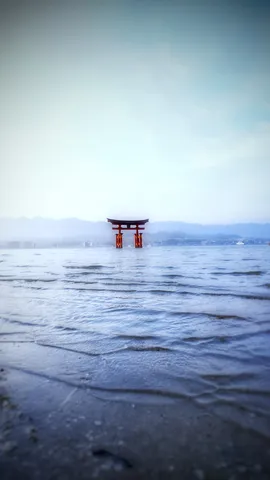水面に佇む朱色の鳥居