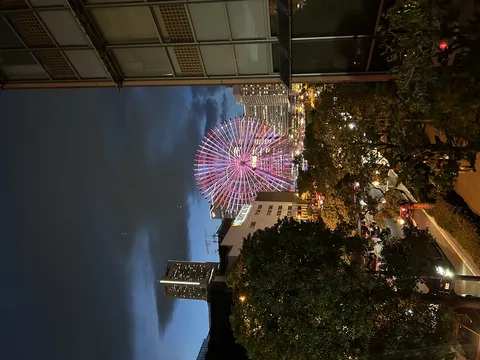 夜空に咲く大輪の花