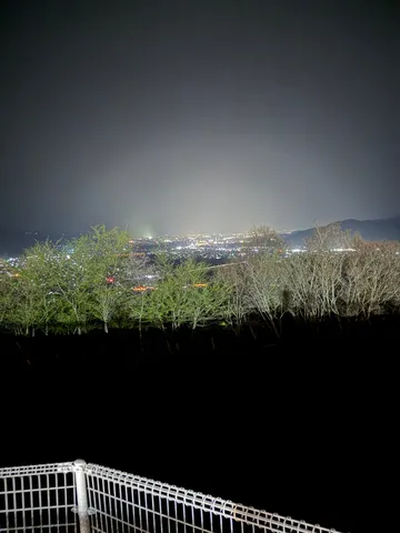 夜景と木々の静かな境界