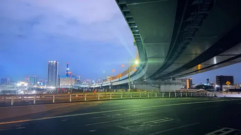 夜景と高架橋のダイナミックな競演