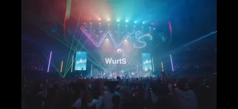 光と音のシンフォニー、熱狂のライブステージ