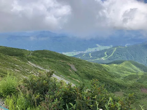 雲海と緑の山並み