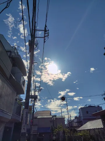きらめく太陽と街の電線