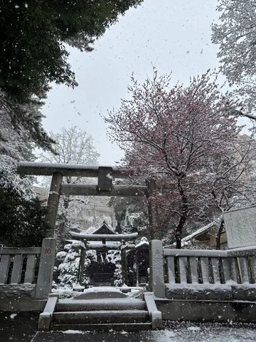 雪化粧の鳥居、満開の季節外れ