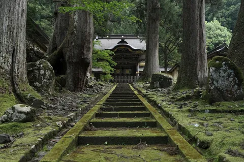 緑深き古刹への参道