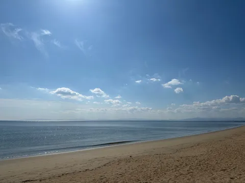 夏の海辺に広がる静寂の光