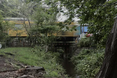 緑深い線路を走る列車