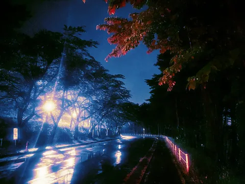 夜のハイウェイ。