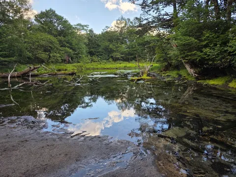 静寂の森、水鏡に映る空