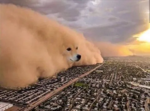 砂嵐と犬が描く空気感